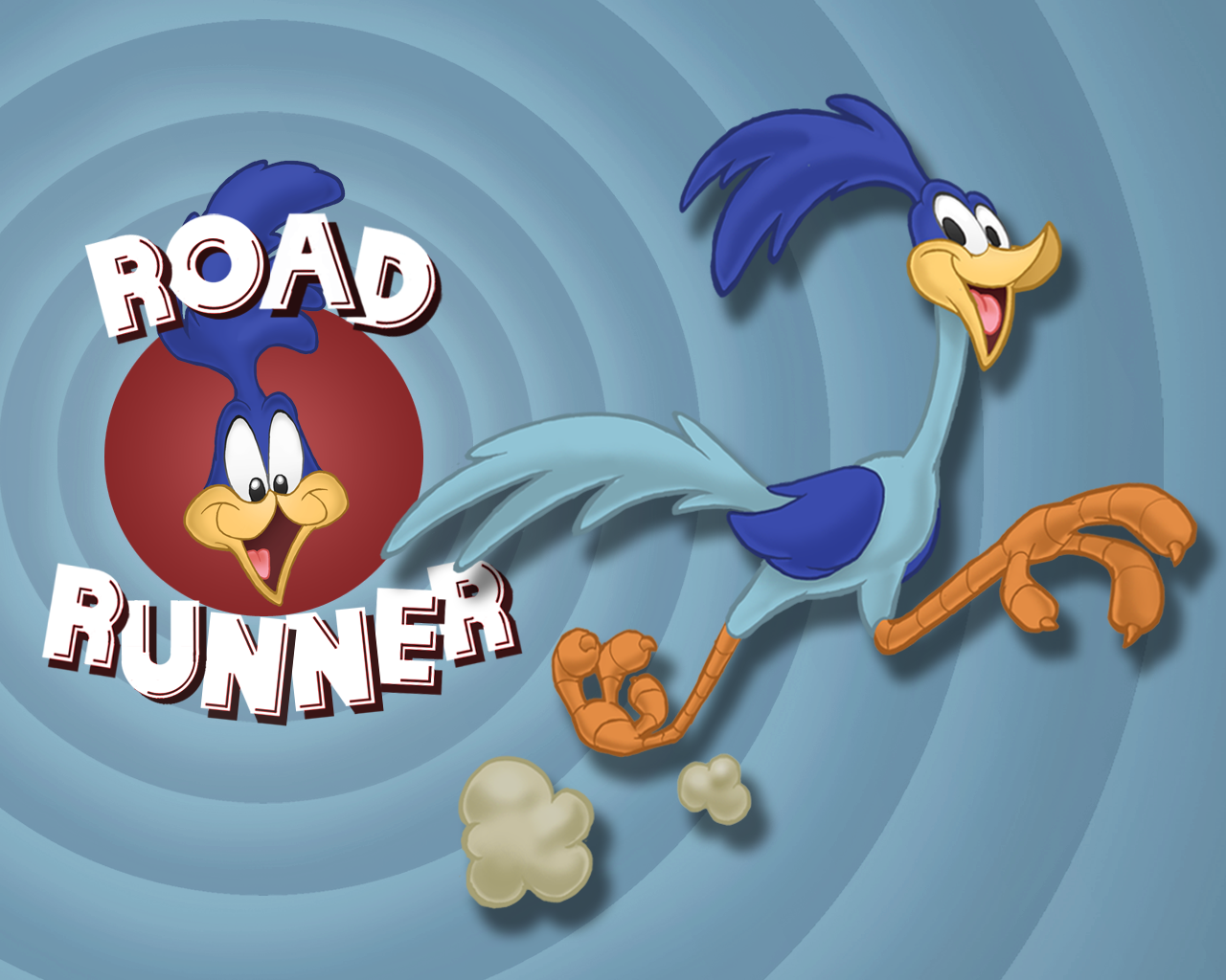 Road Runner - Road Runner Cartoon Logo , HD Wallpaper & Backgrounds