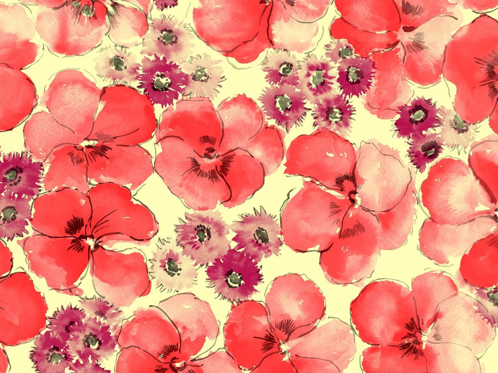 Lindos Papeis De Paredes De Flores Para O Seu Celular - Flower Laptop Backgrounds , HD Wallpaper & Backgrounds