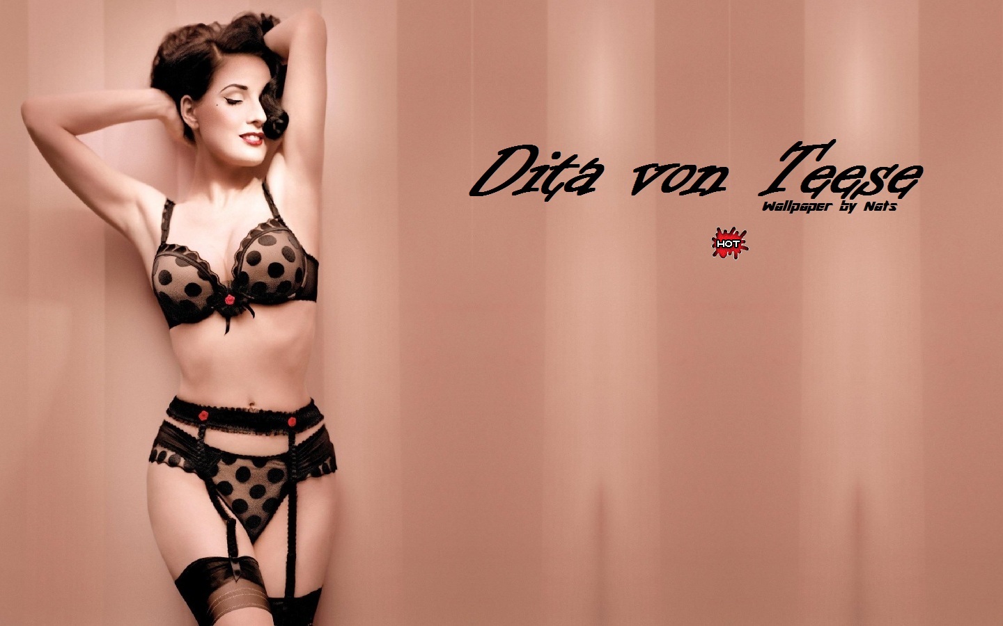 Download Full Size Dita Von Teese Wallpaper / Celebrities - Lingerie Top , HD Wallpaper & Backgrounds