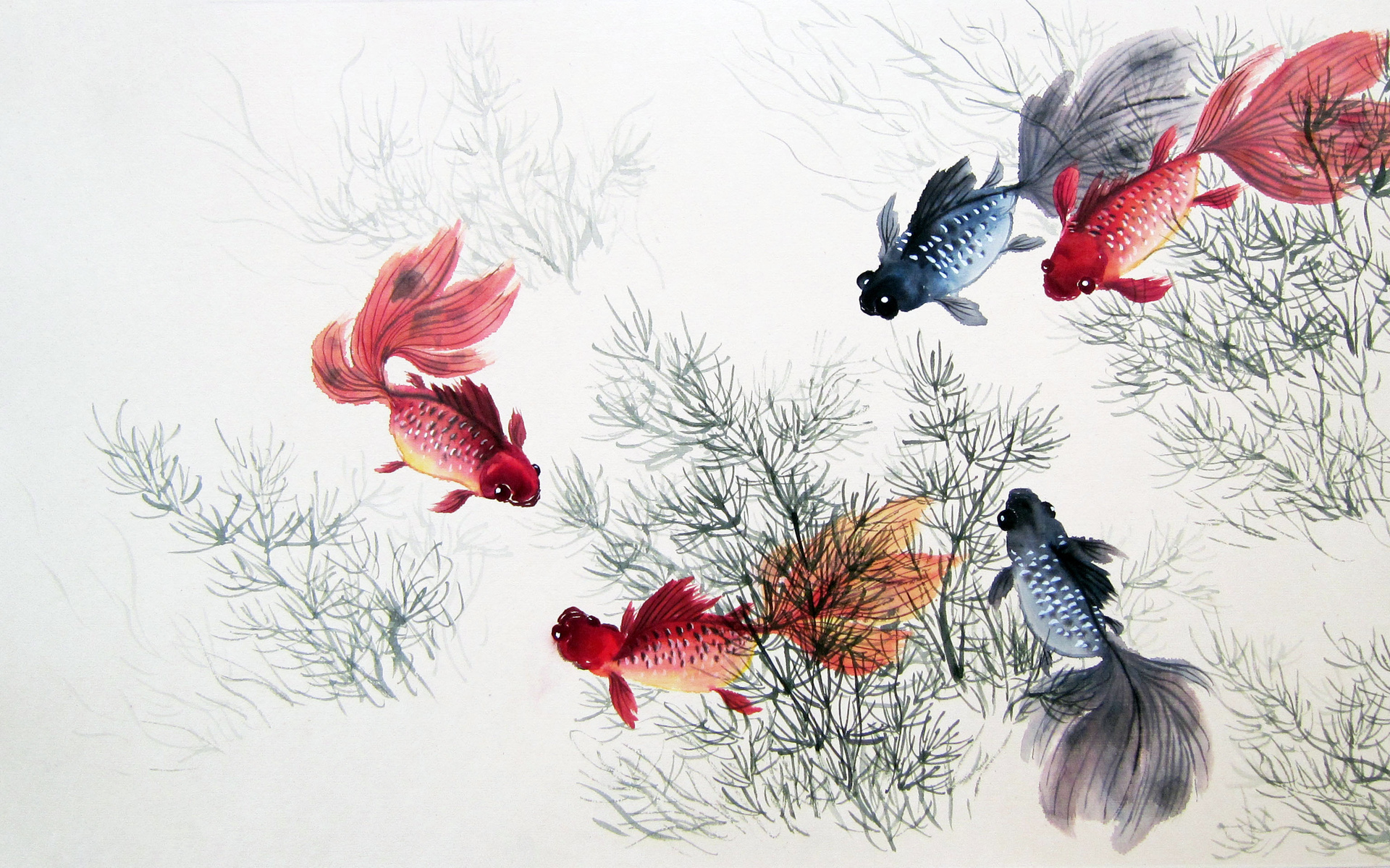 Lindos Peces Y Plantas Chinas Wallpapers And Stock - Chinese Art , HD Wallpaper & Backgrounds