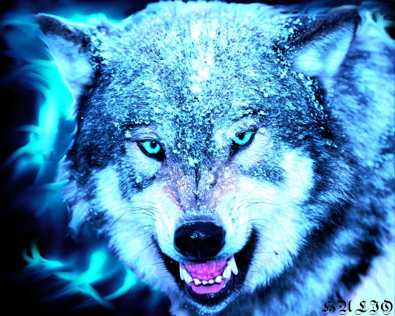 Cool Wolves, - Wolf Cool Backgrounds , HD Wallpaper & Backgrounds