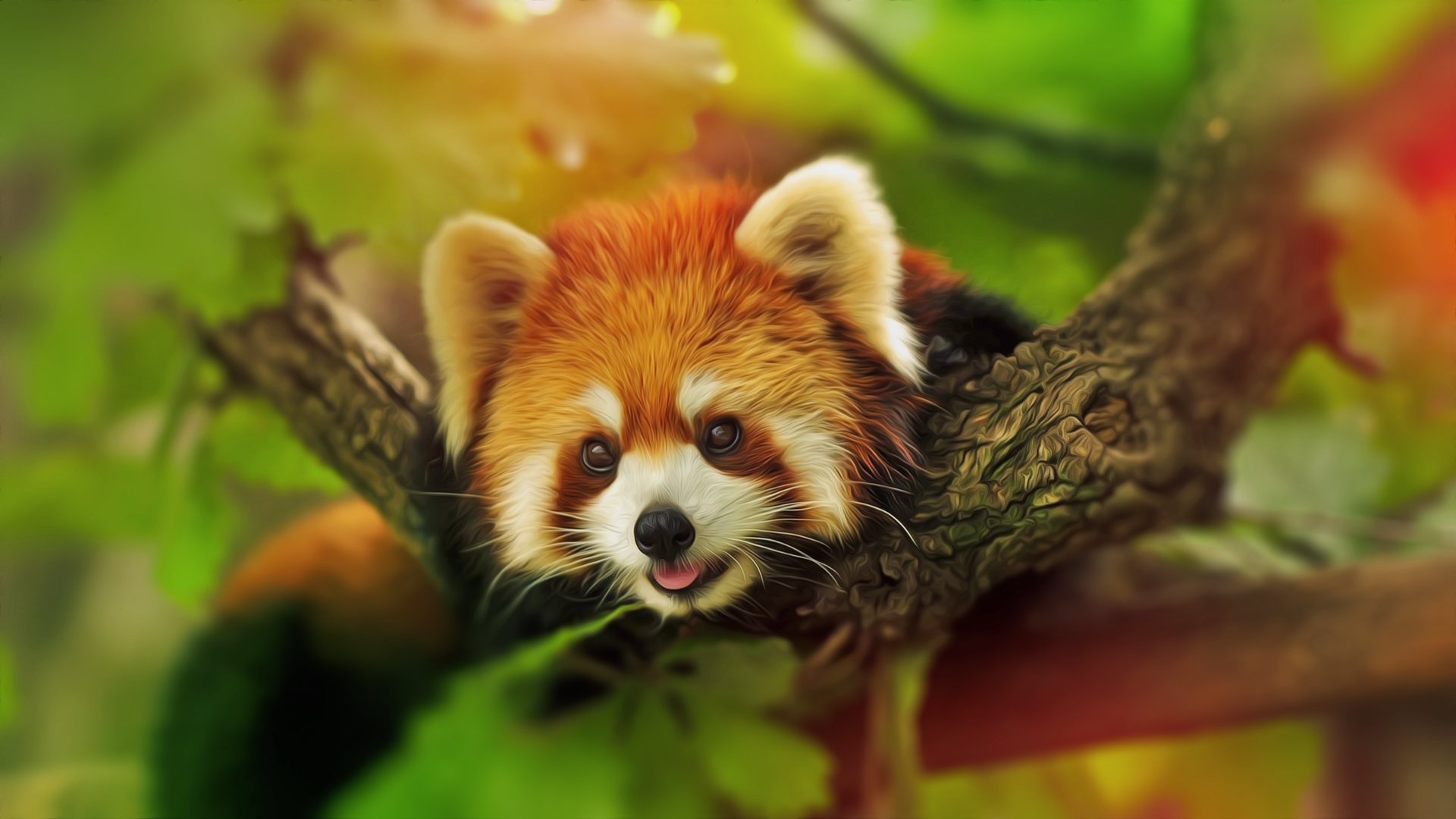 Red Panda Hd Wallpaper - Cute Sleeping Red Panda , HD Wallpaper & Backgrounds