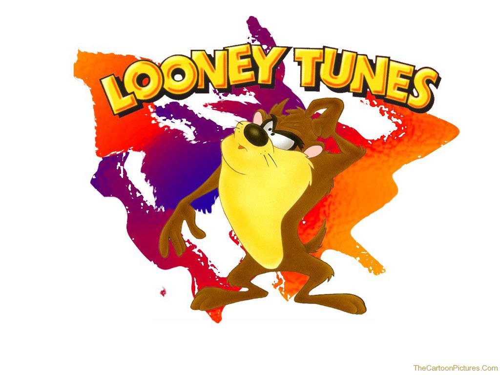 Tazmania 1024 Picture - Looney Tunes , HD Wallpaper & Backgrounds