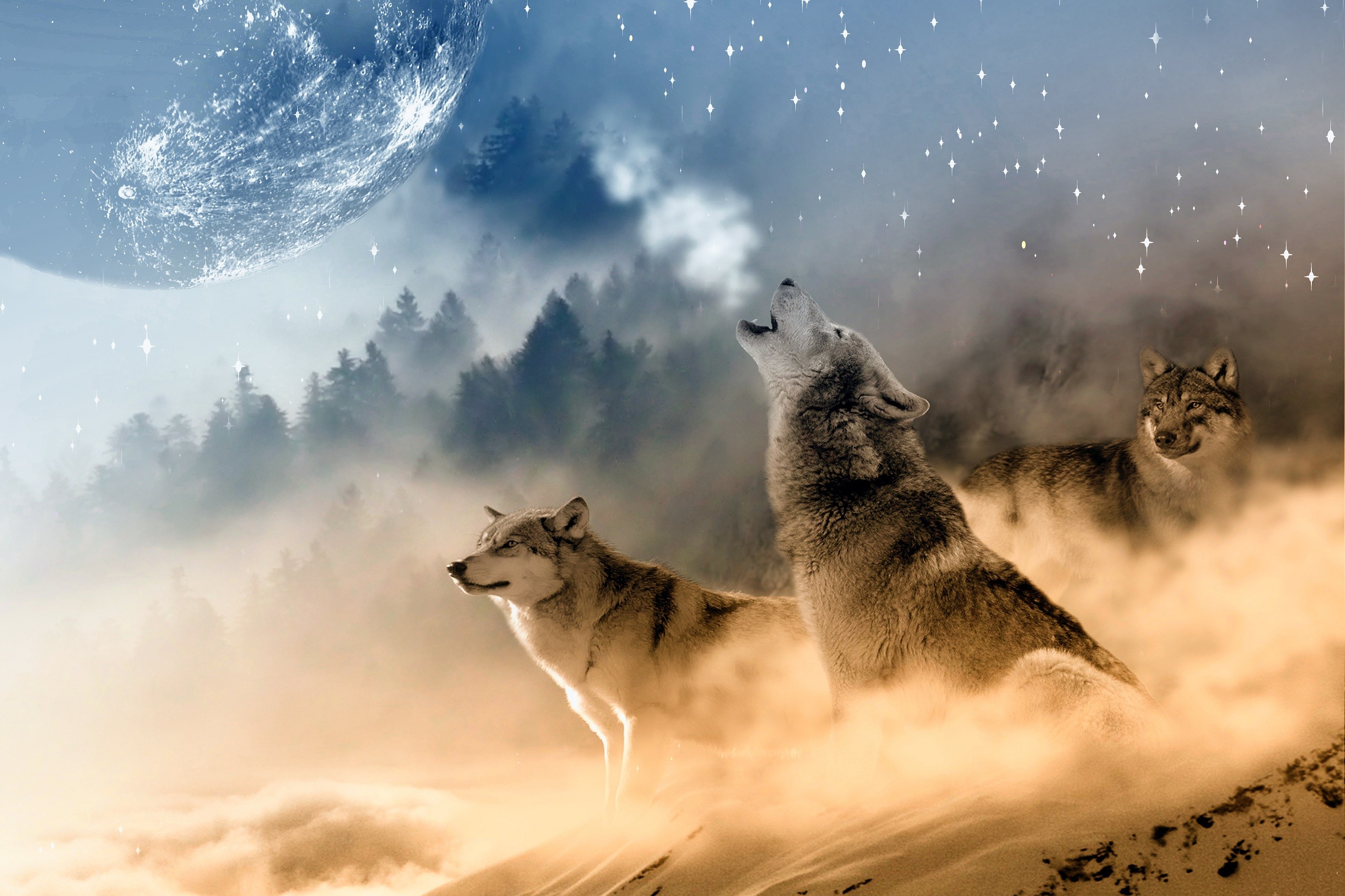 Wolf Howling At The Moon Wallpaper Hd , HD Wallpaper & Backgrounds