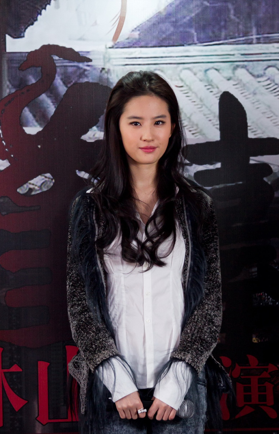 Liu Yifei , HD Wallpaper & Backgrounds