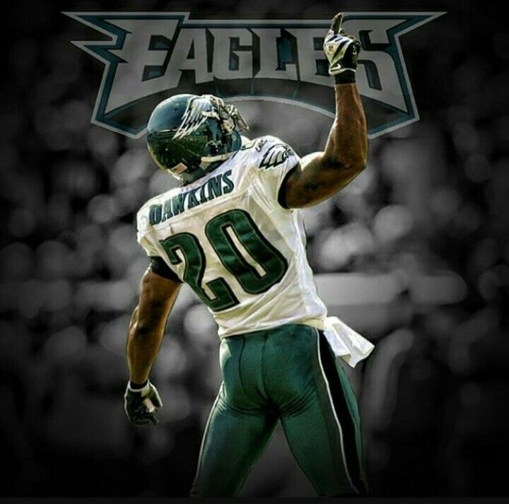 483 Best Eagles Images On Pinterest Fly Eagles Fly, - Philadelphia Eagles Wallpaper Brian Dawkins , HD Wallpaper & Backgrounds