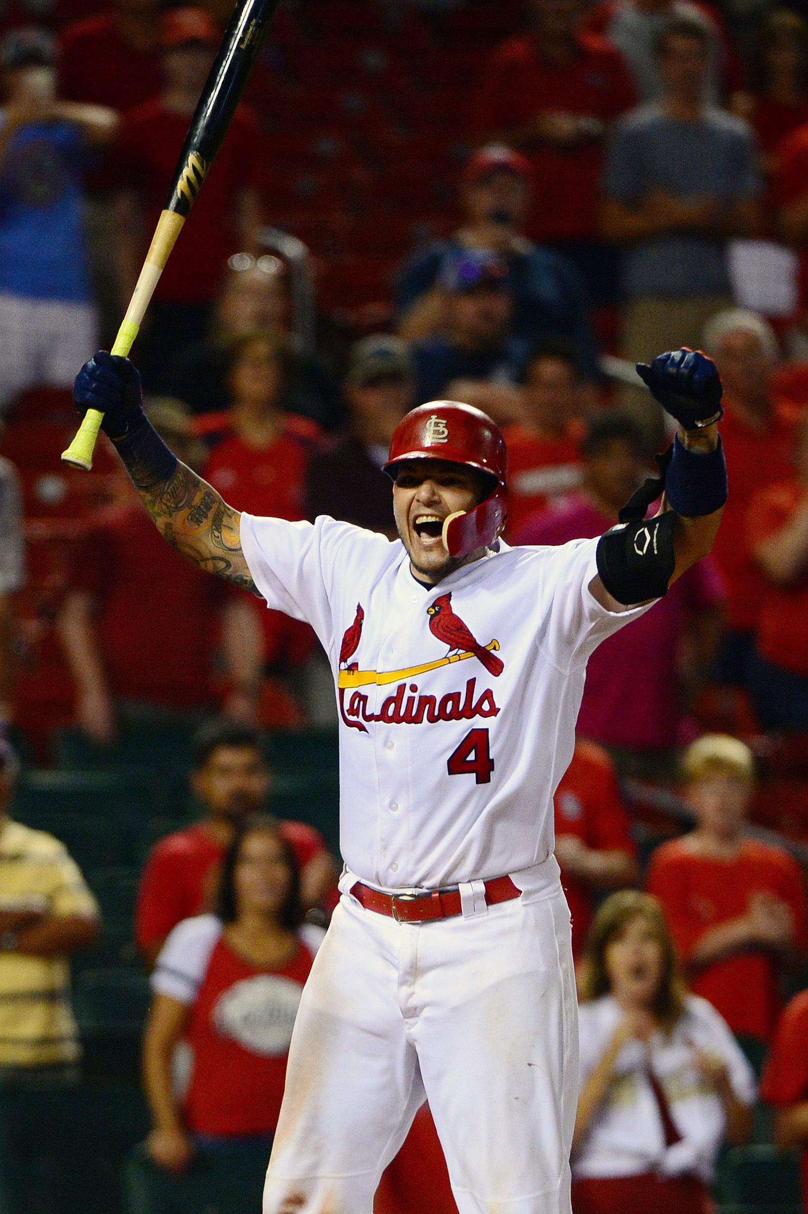 Yadier Molina Fans Share Cardinals Wallpaper, Yadier - Yadier Molina Bat 2017 , HD Wallpaper & Backgrounds