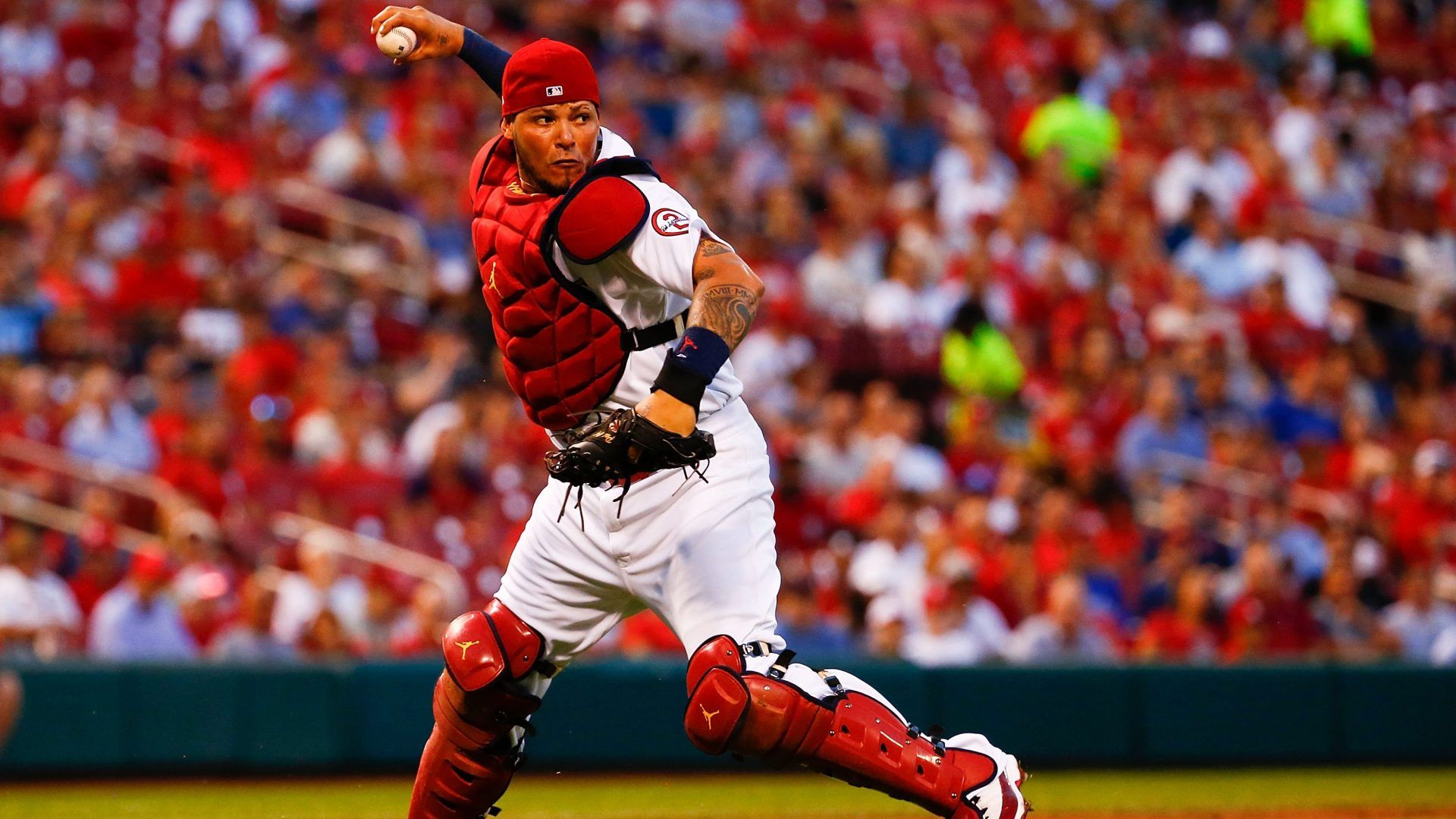 Yadier Molina Cardinals , HD Wallpaper & Backgrounds