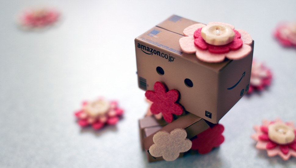 Amazon, Boxes, Flowers, Box, Buttons, Danbo Desktop - Cute Danbo , HD Wallpaper & Backgrounds