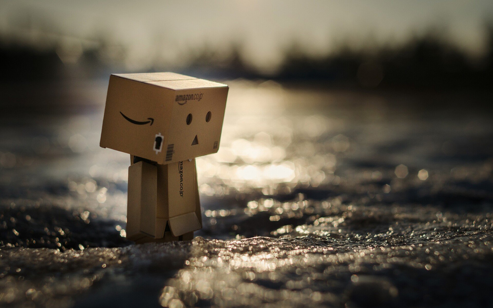 Danbo - Danbo Hd , HD Wallpaper & Backgrounds