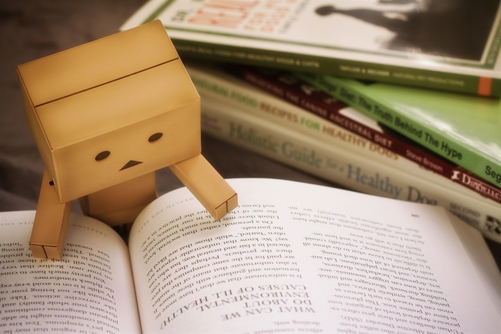Danbo Cardboard Robot Book Reading - Matériel Et Méthodes Mémoire , HD Wallpaper & Backgrounds