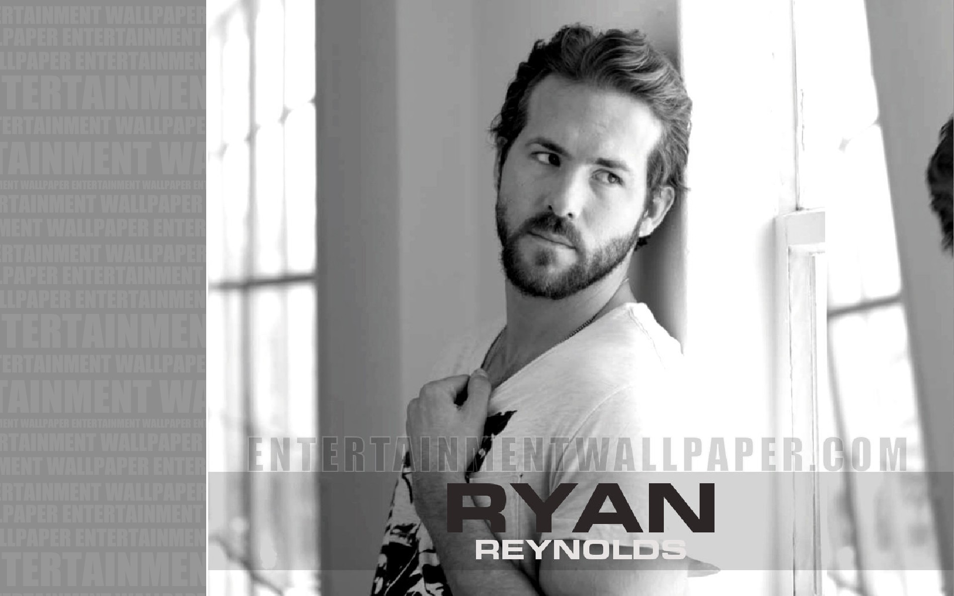 Ryan Reynolds Wallpaper - Ryan Reynolds , HD Wallpaper & Backgrounds