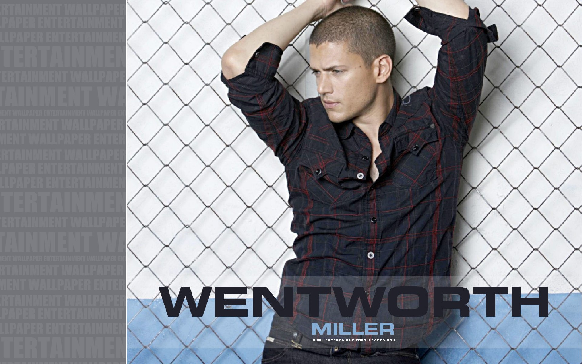 Wentworth Miller Wallpaper - Went Worth Miller , HD Wallpaper & Backgrounds