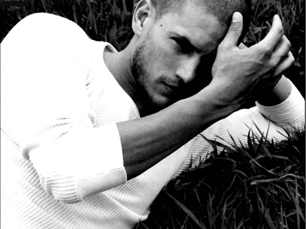 Wentworth Miller Wallpapers - Wentworth Miller , HD Wallpaper & Backgrounds