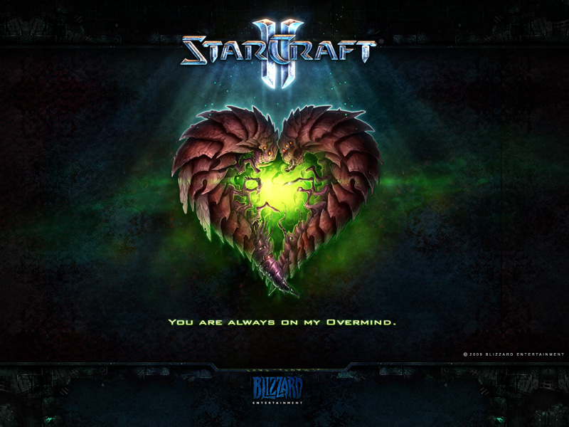 Starcraft & Brood War - Starcraft 2 Background Zerg , HD Wallpaper & Backgrounds