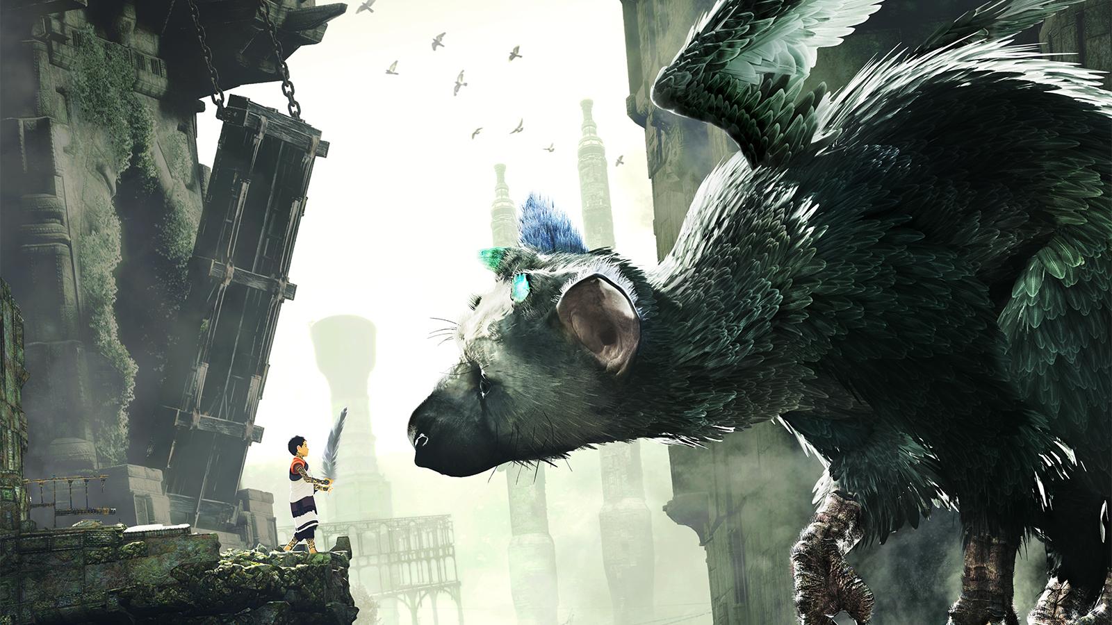 Fumito Ueda The Last Guardian , HD Wallpaper & Backgrounds