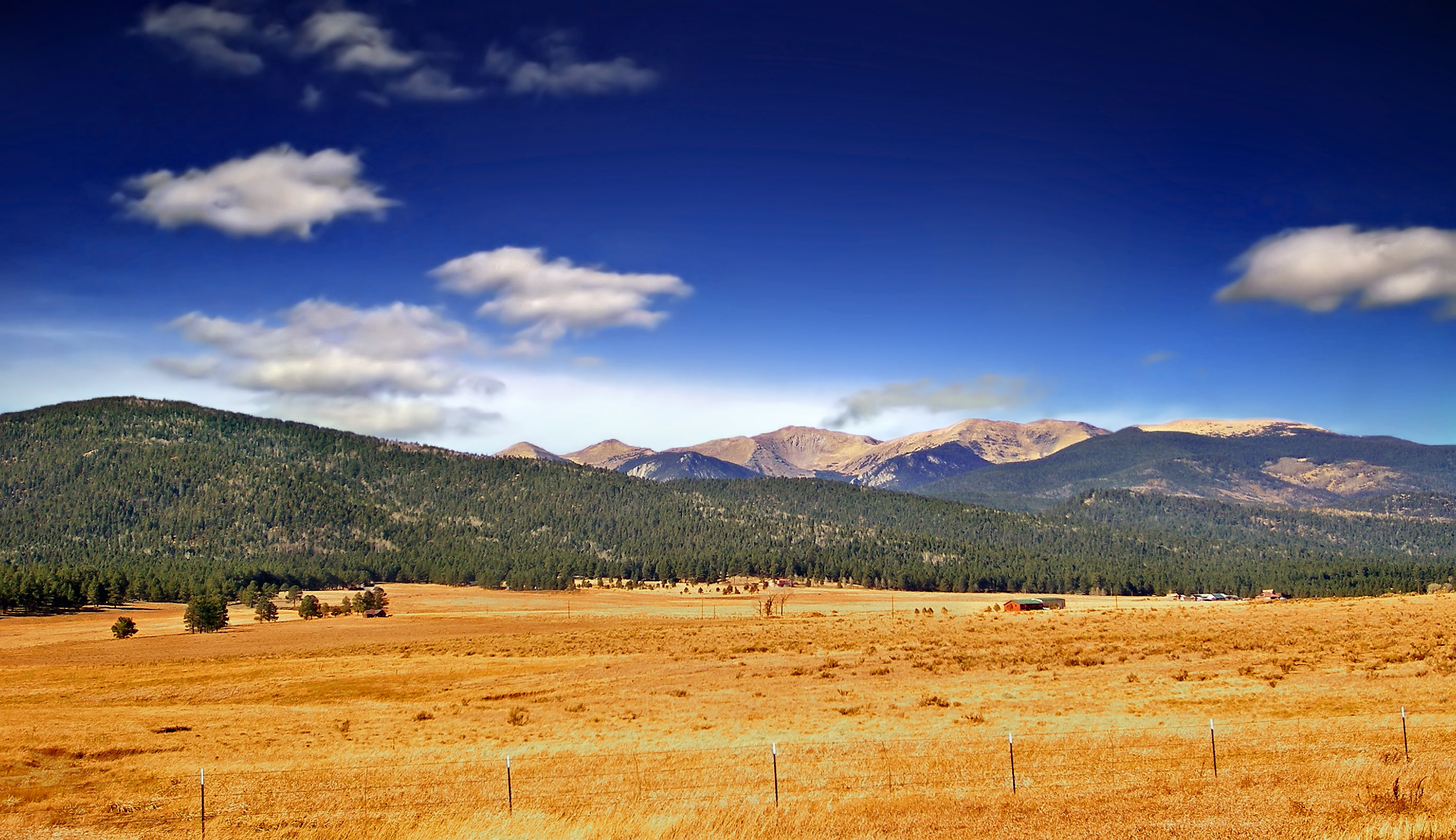 Wheat Field Hd Wallpaper - Wheeler Peak New Mexico , HD Wallpaper & Backgrounds