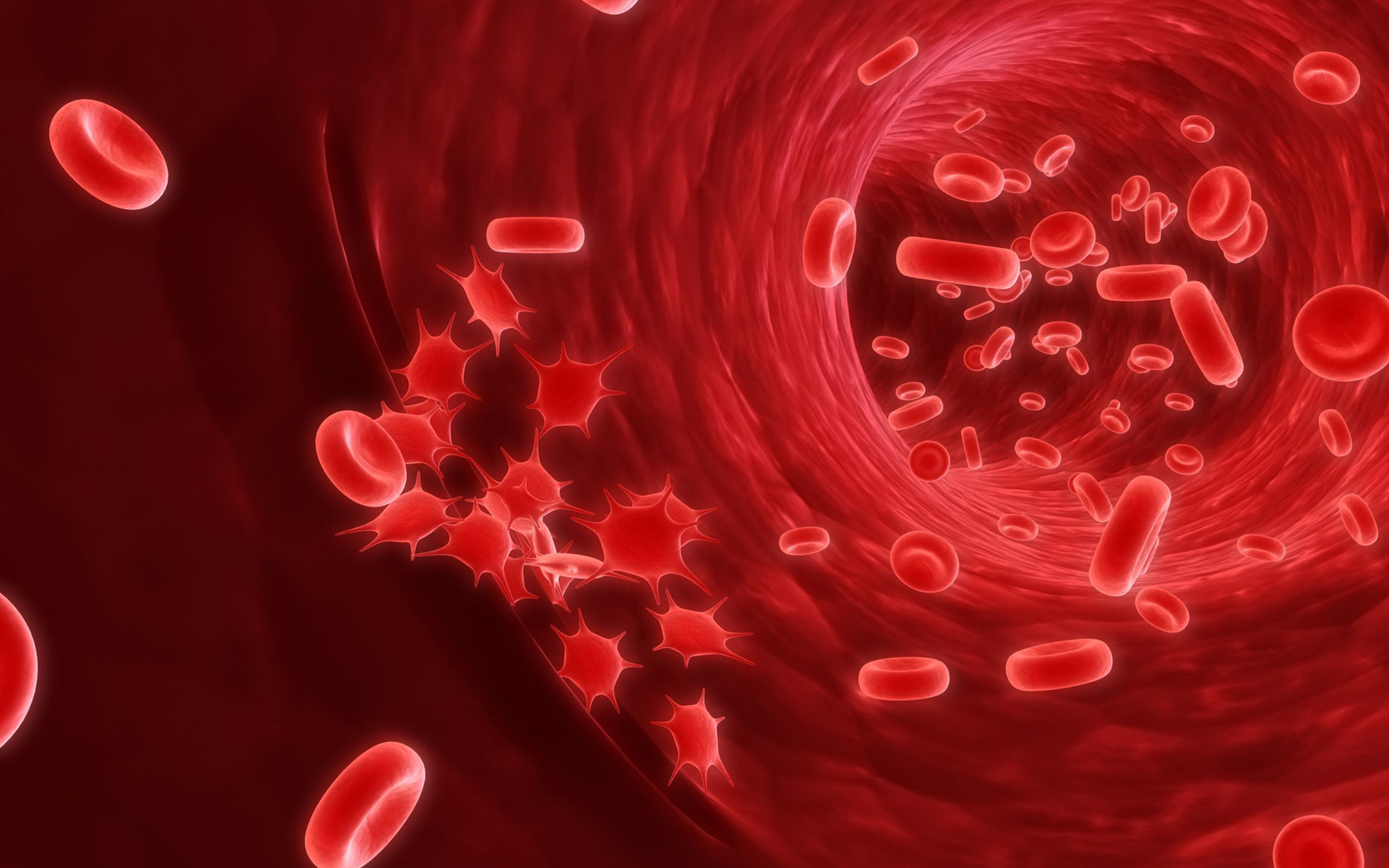 Encuentran Un Tipo De Células Madre Capaces De Repoblar - Red Blood Cell Background , HD Wallpaper & Backgrounds