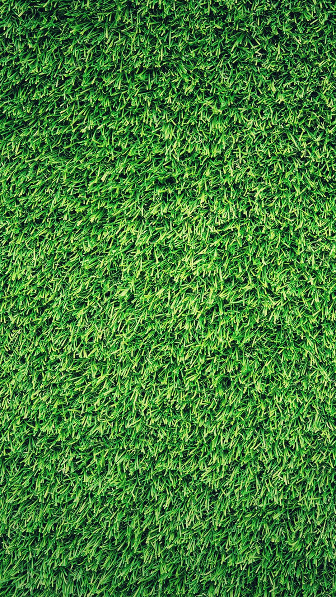 I Don't Have Green Grass In My Yard Due To The Drought - Grass Wallpaper Iphone , HD Wallpaper & Backgrounds