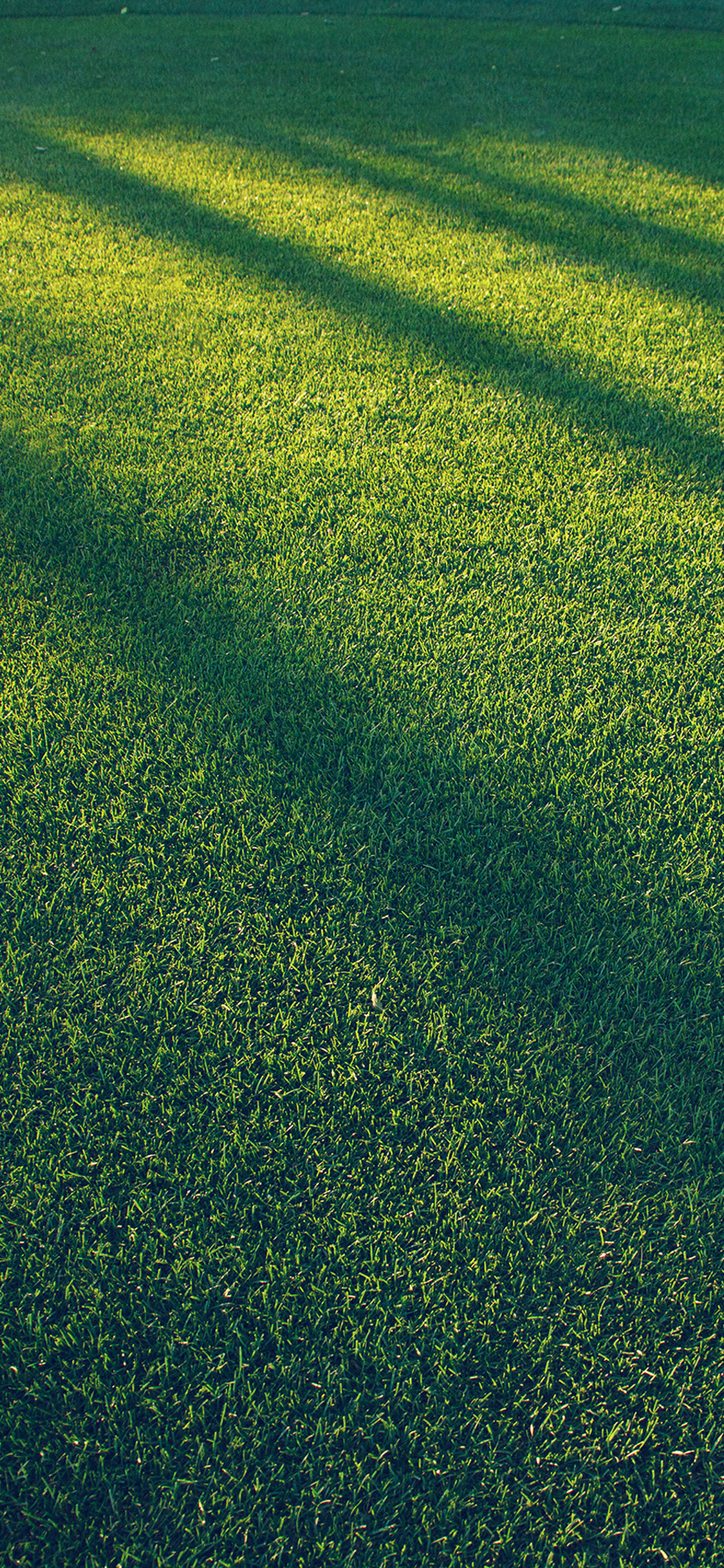 Vj86 Lawn Grass Sunlight Green Blue Pattern - Iphone Grass , HD Wallpaper & Backgrounds
