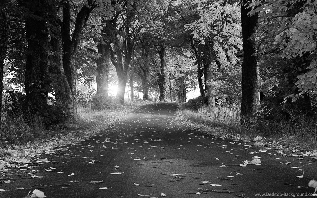 Nature & Landscape Black And White Autumn Breeze Wallpaper - Hd All , HD Wallpaper & Backgrounds