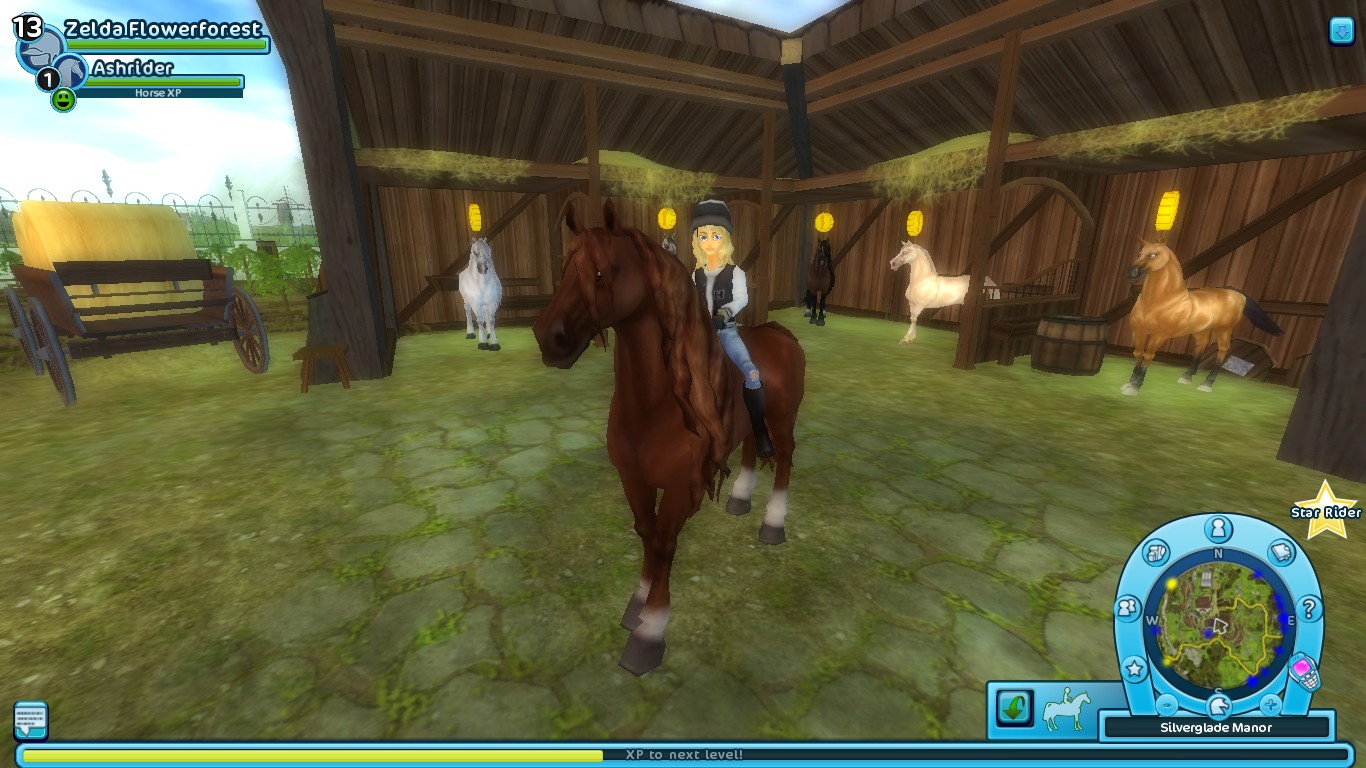 Just So You Know Andalusians 18 Star Stable - Star Stable Level 2 , HD Wallpaper & Backgrounds