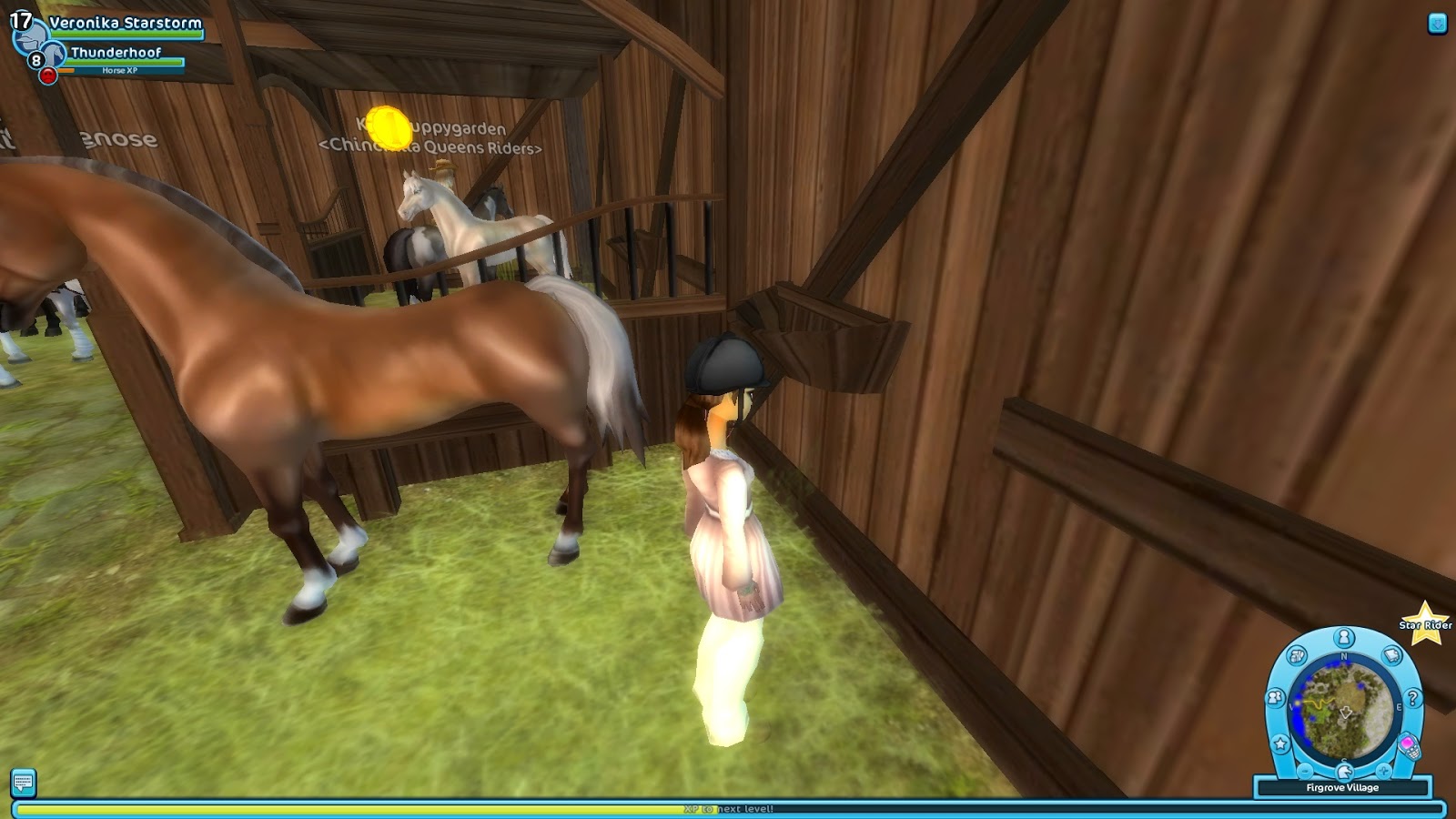 17 Best Images About Sso Star Stable On Pinterest - Pc Game , HD Wallpaper & Backgrounds