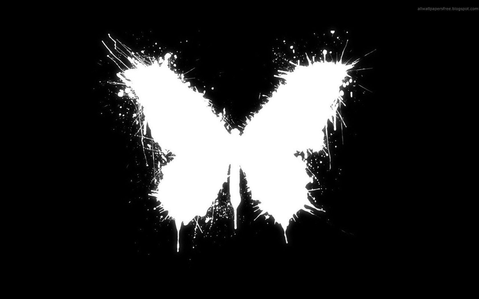 Black And White Butterfly Wallpapers Downloads 14892 - Black And White Background Butterfly , HD Wallpaper & Backgrounds