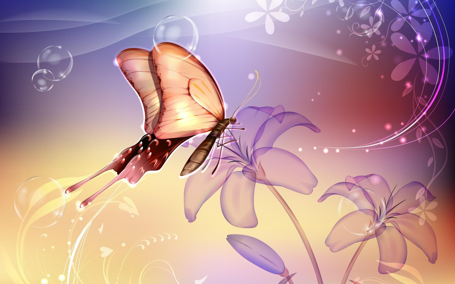 Schönsten Schmetterlinge Der Welt , HD Wallpaper & Backgrounds