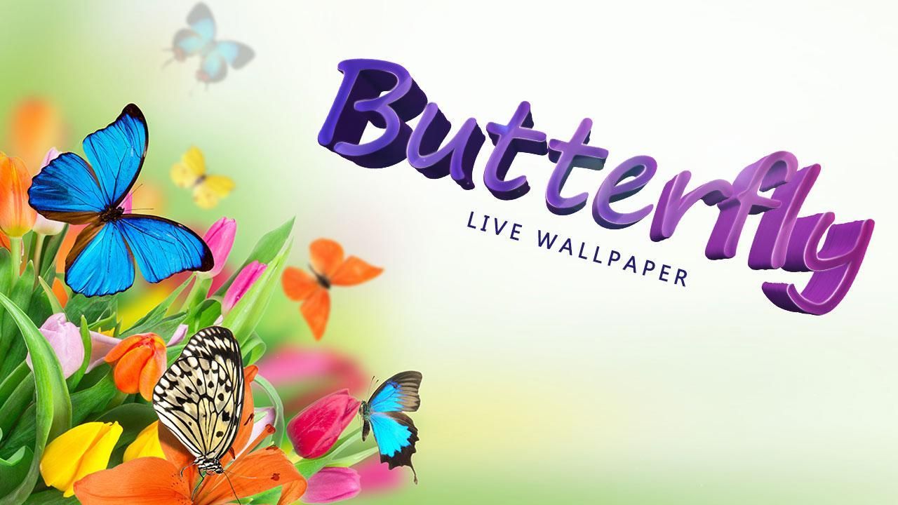 Butterfly, Wallpapers And Pictures - Red Butterfly Scenery , HD Wallpaper & Backgrounds