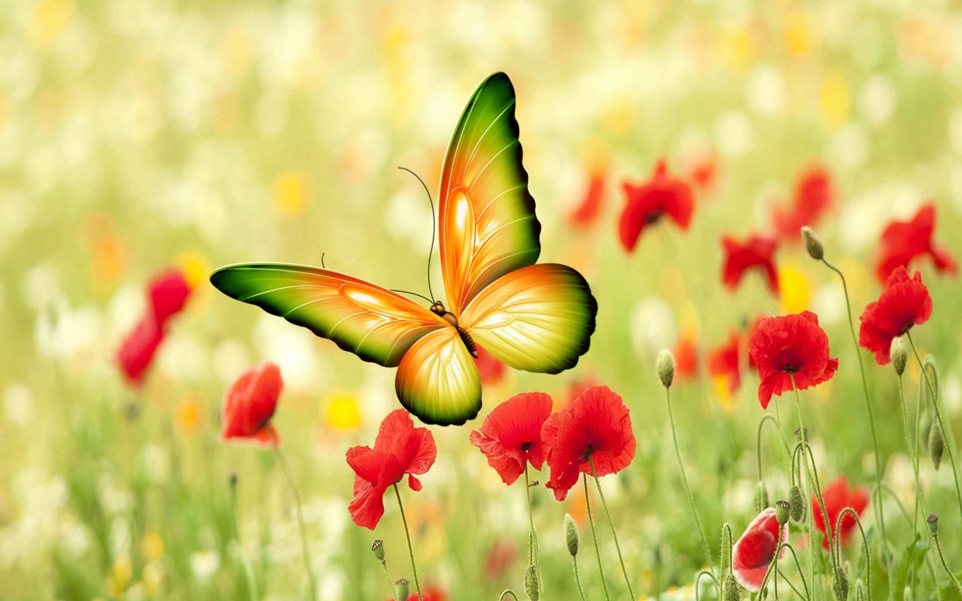 0 Butterfly Wallpaper For Computer Butterfly Wallpaper - Good Morning Poetry Sms , HD Wallpaper & Backgrounds