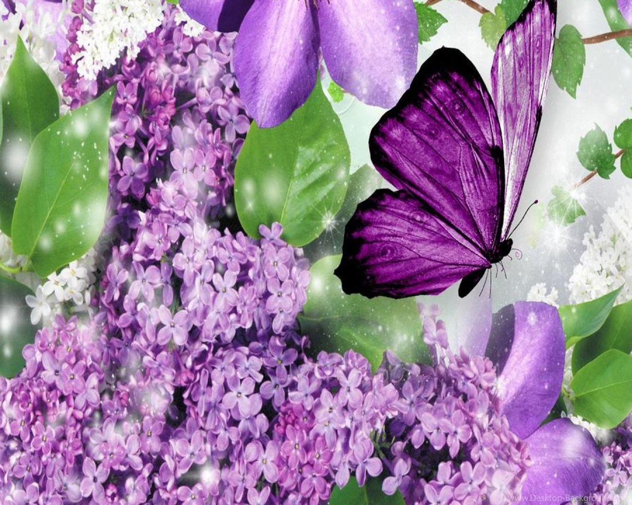 Widescreen - Purple Lilacs And Butterflies , HD Wallpaper & Backgrounds