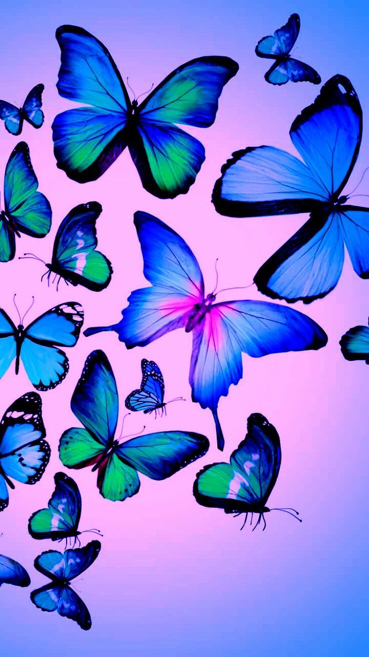 Iphone Wallpaper Hd Butterfly , HD Wallpaper & Backgrounds