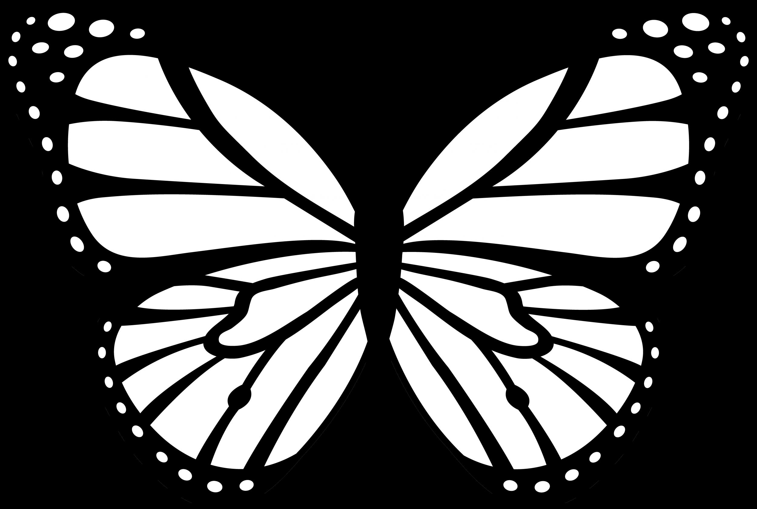 New Butterfly Wallpapers, View Butterfly Wallpapers - Monarch Butterfly Easy Drawing , HD Wallpaper & Backgrounds