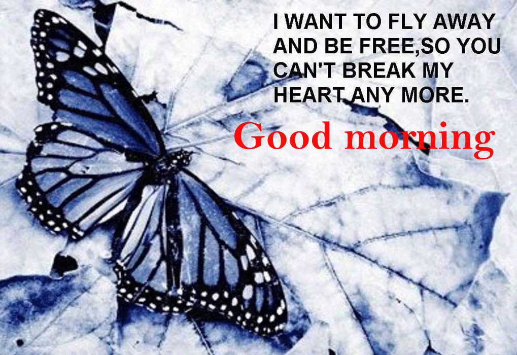 Good Morning Quotes With Butterfly Wallpaper Pictures - Broken Hearted Butterfly , HD Wallpaper & Backgrounds