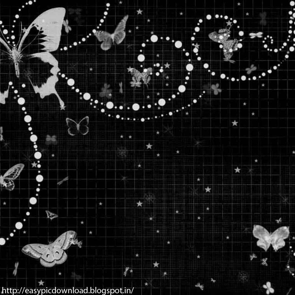 Black White Butterfly Wallpaper - Flower Butterfly Black And White Background , HD Wallpaper & Backgrounds
