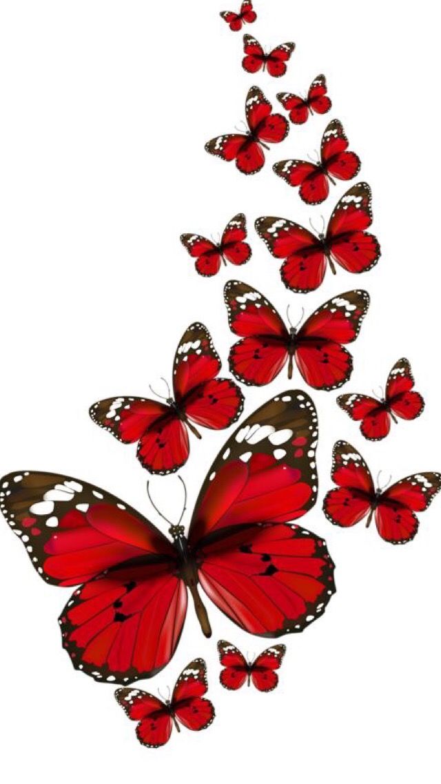 Iphone Wallpapers Обои - Red Butterflies Clipart , HD Wallpaper & Backgrounds