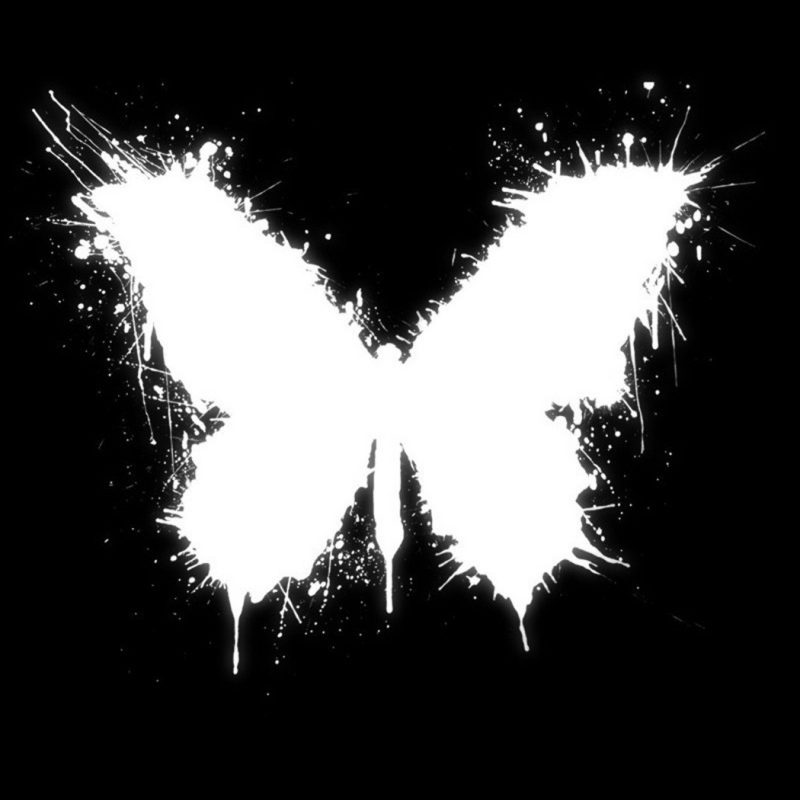 10 Best Butterfly Wallpaper Black And White Full Hd - White Picture With Black Background , HD Wallpaper & Backgrounds