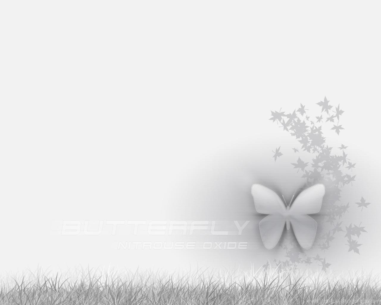 Widescreen - Silver Color Background Hd , HD Wallpaper & Backgrounds
