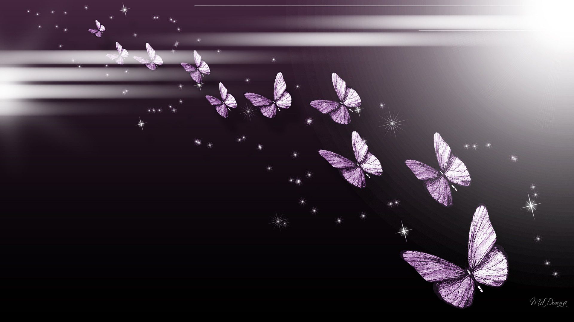 Purple Butterfly Desktop Wallpaper - Butterfly With Black Background , HD Wallpaper & Backgrounds