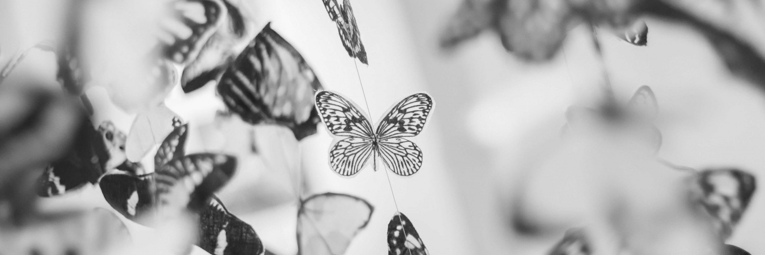 Colorful Beautiful Black And White Butterfly Wallpaper - Butterflies In Black And White , HD Wallpaper & Backgrounds