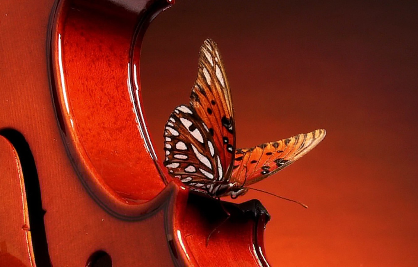 Photo Wallpaper Red, Butterfly, Violin - Red Violin With Butterfly , HD Wallpaper & Backgrounds
