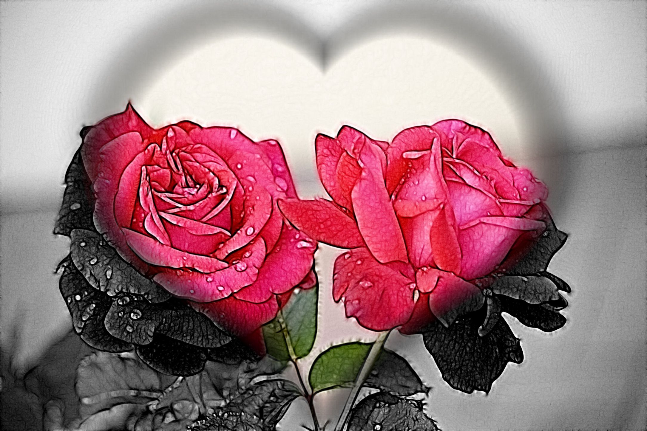 Hd Heart Roses Wallpaper, Red, Roses, Heart, Black, - Lovely , HD Wallpaper & Backgrounds
