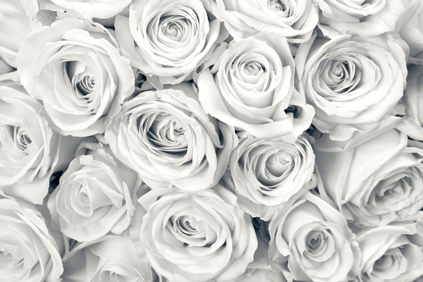 Rose Wallpaper For Walls White Desktop Red Hd - White Roses Flowers Background , HD Wallpaper & Backgrounds