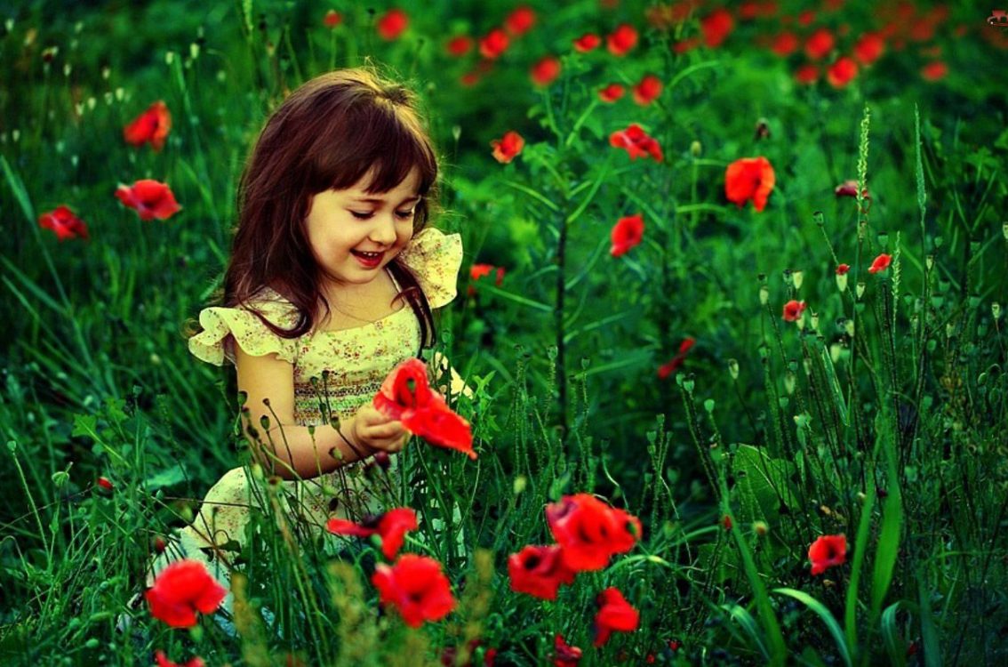 Tablet Android/ipad - Cute Babies With Flowers , HD Wallpaper & Backgrounds