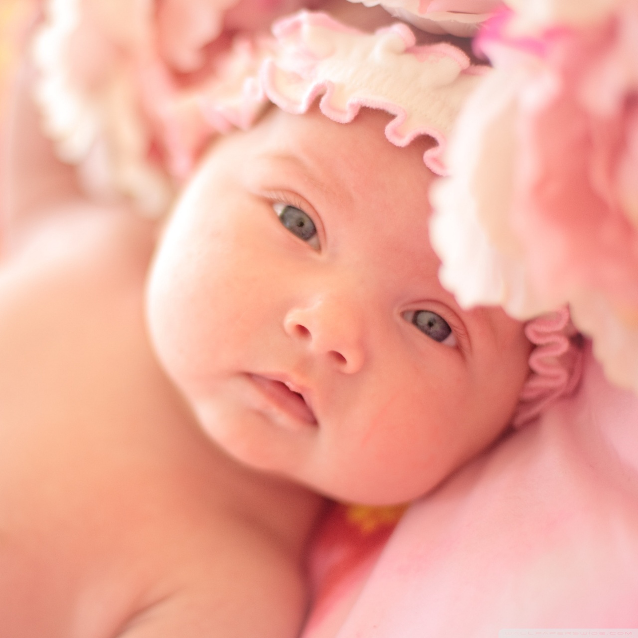Tablet 1 - - Most Cute Newborn Baby , HD Wallpaper & Backgrounds