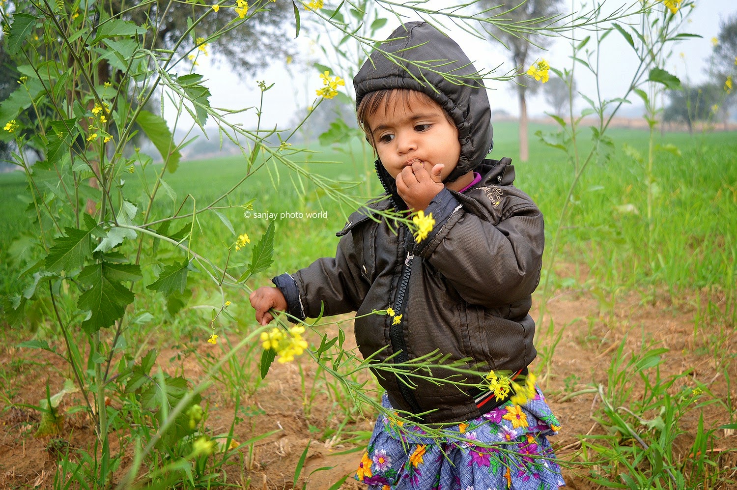 Sarson Farm - Toddler , HD Wallpaper & Backgrounds