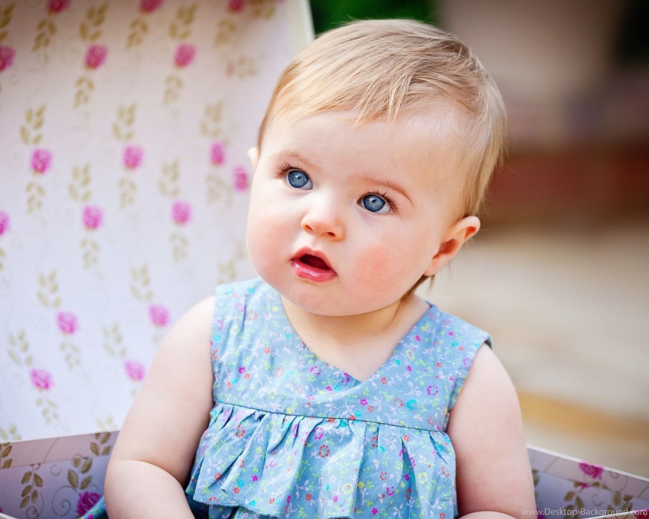 Widescreen - Funny Cute Baby Images Hd , HD Wallpaper & Backgrounds
