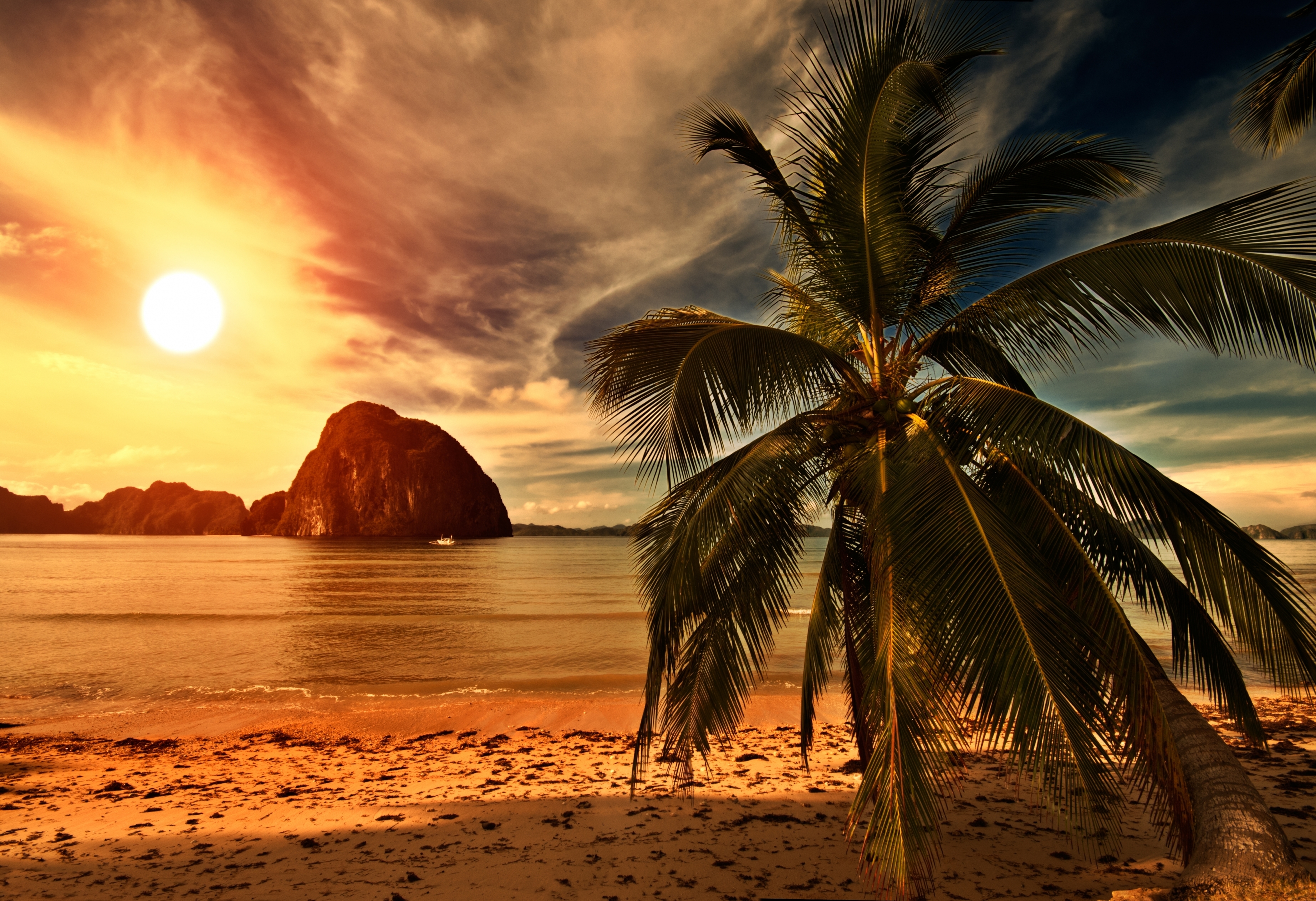 Beach Sunset Palm Tree , HD Wallpaper & Backgrounds