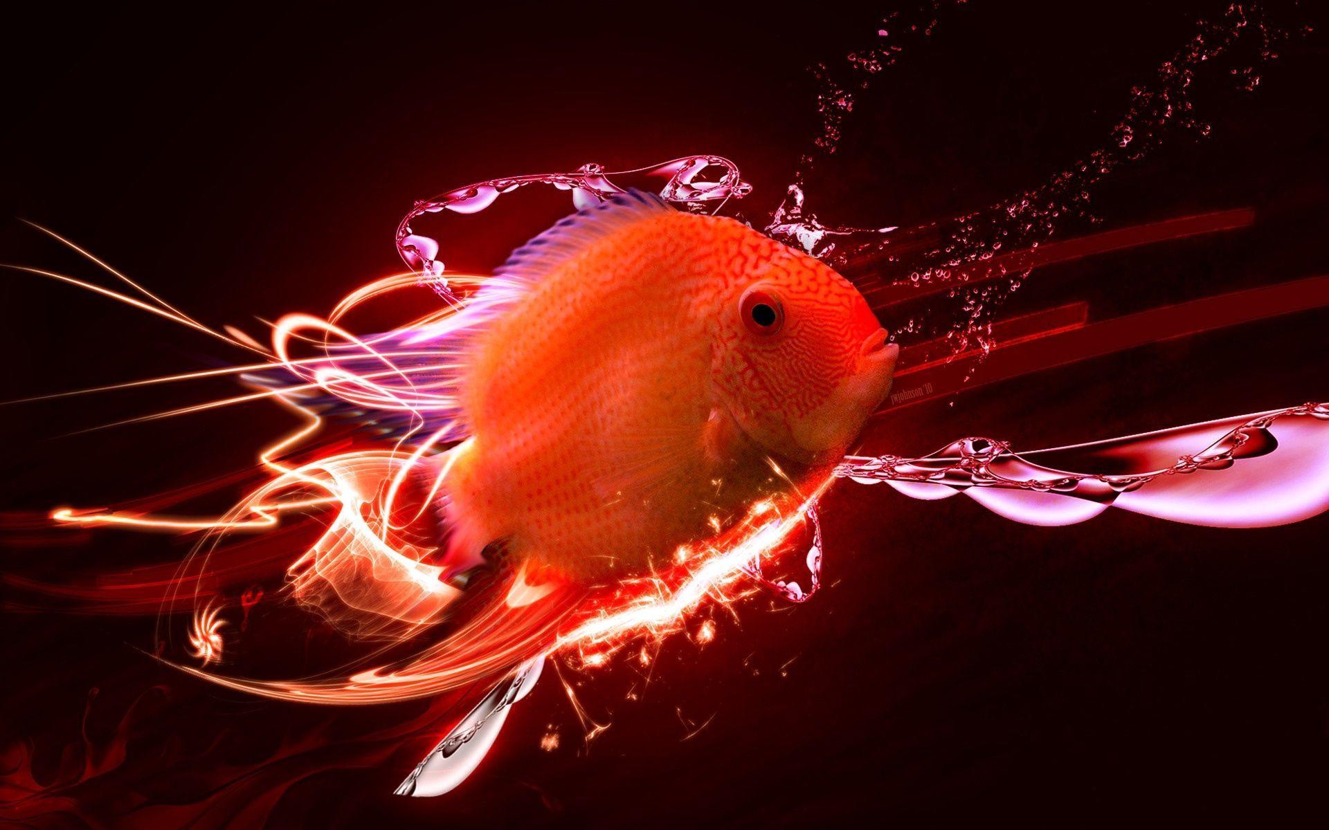 Digital Red Fish Wallpaper And Photo - Hd Wallpaper Of Golden Fish , HD Wallpaper & Backgrounds